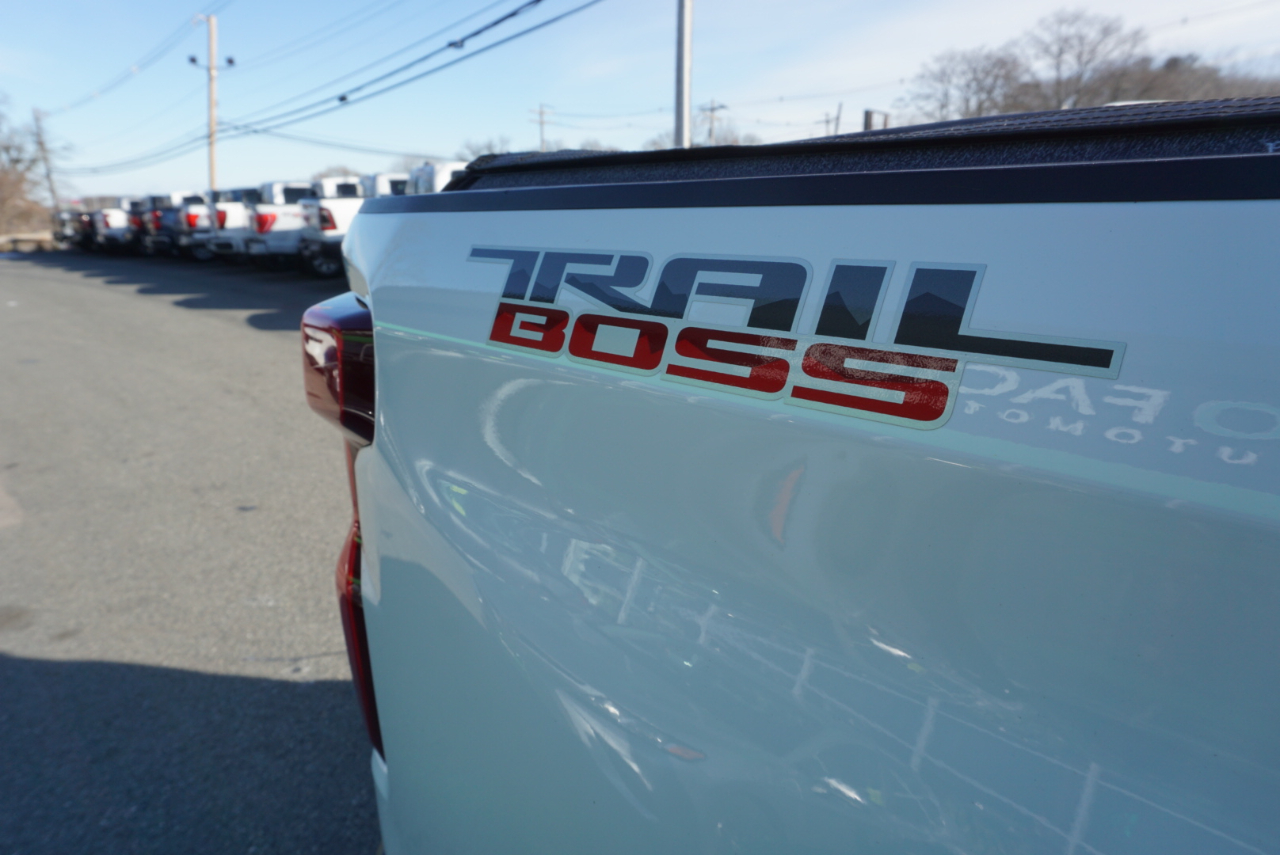 Chevrolet Silverado 1500  2019