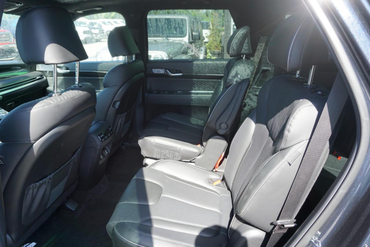 Hyundai Palisade Calligraphy AWD 2024