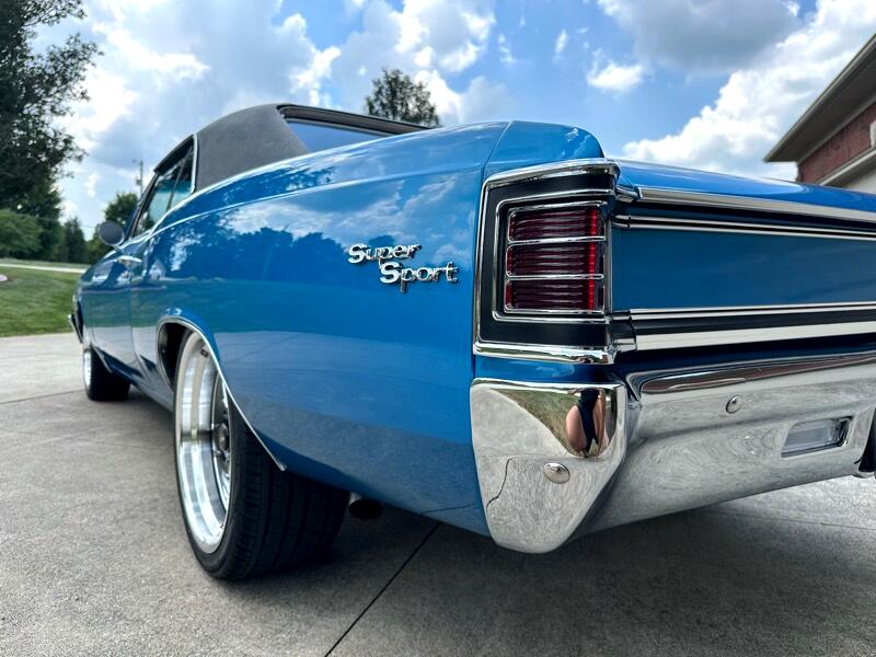 Chevrolet Chevelle SS 396  1967 Chevrolet Chevelle SS 396  1967