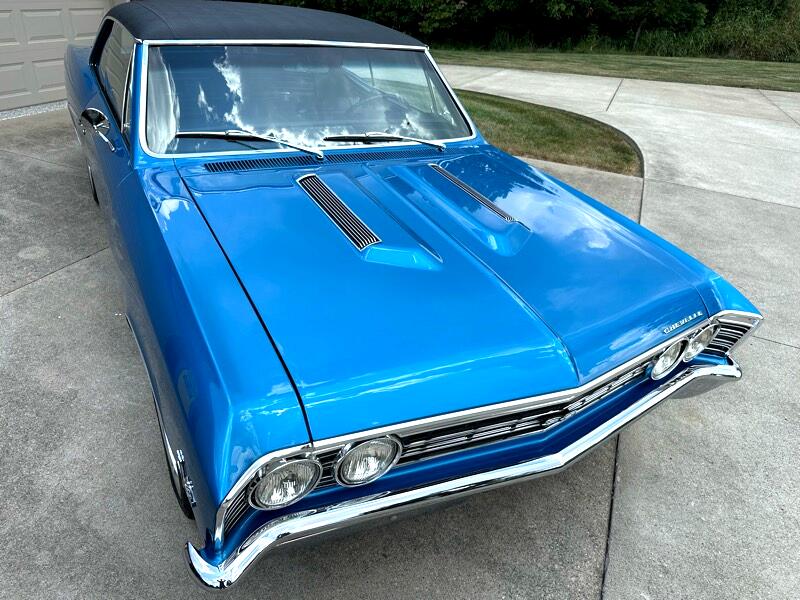 Chevrolet Chevelle SS 396  1967 Chevrolet Chevelle SS 396  1967