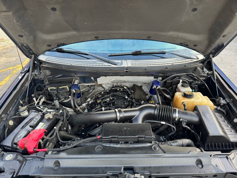 Ford F-150 XLT SuperCrew 5.5-ft. Bed 4WD 2011