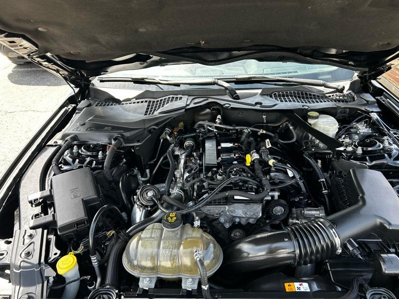 Ford Mustang EcoBoost Coupe 2016