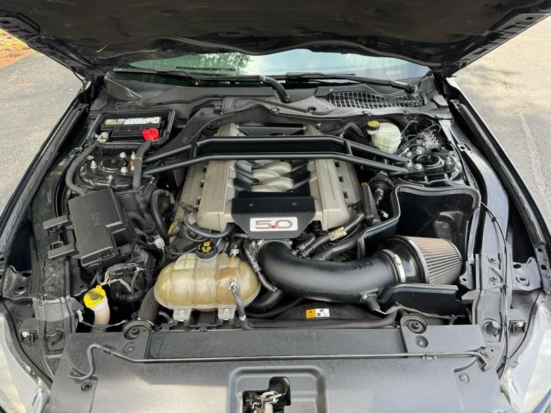 Ford Mustang GT Coupe 2015