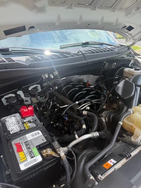 Ford F-150 2WD Reg Cab 141" XL 2019