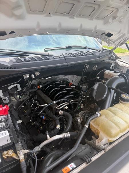 Ford F-150 2WD Reg Cab 141" XL 2019
