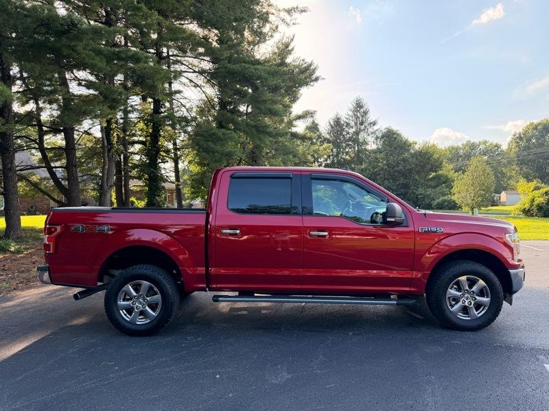Ford F-150 XLT SuperCrew 6.5-ft. Bed 4WD 2020