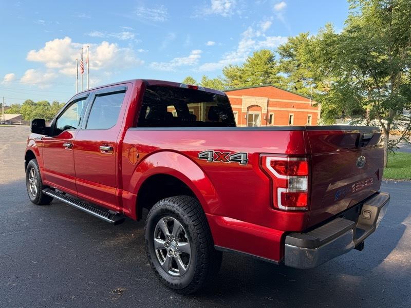 Ford F-150 XLT SuperCrew 6.5-ft. Bed 4WD 2020