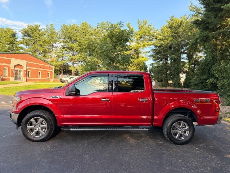 Ford F-150 XLT SuperCrew 6.5-ft. Bed 4WD 2020