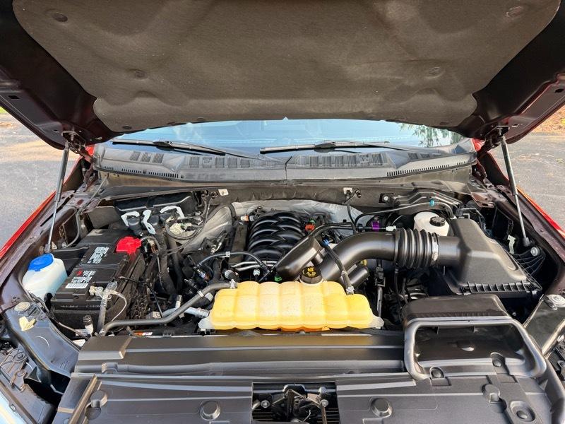 Ford F-150 XLT SuperCrew 6.5-ft. Bed 4WD 2020