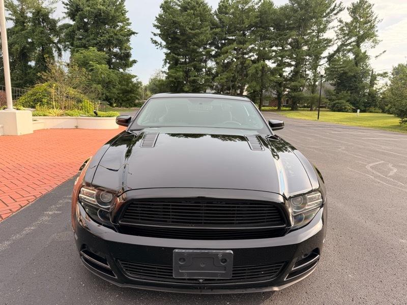 Ford Mustang GT Coupe 2013