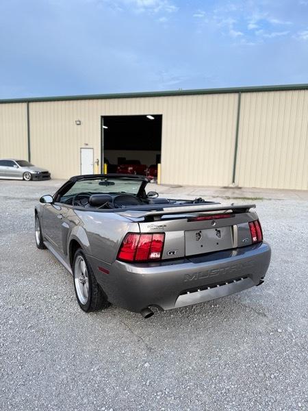 Ford Mustang GT Deluxe Convertible 2002