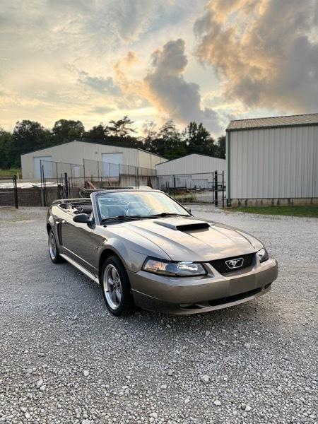 Ford Mustang GT Deluxe Convertible 2002
