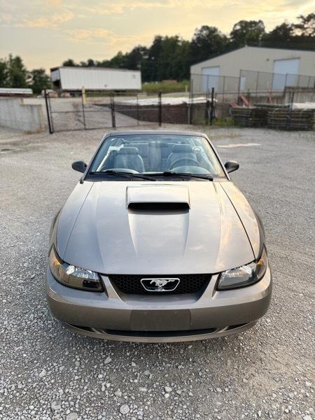 Ford Mustang GT Deluxe Convertible 2002