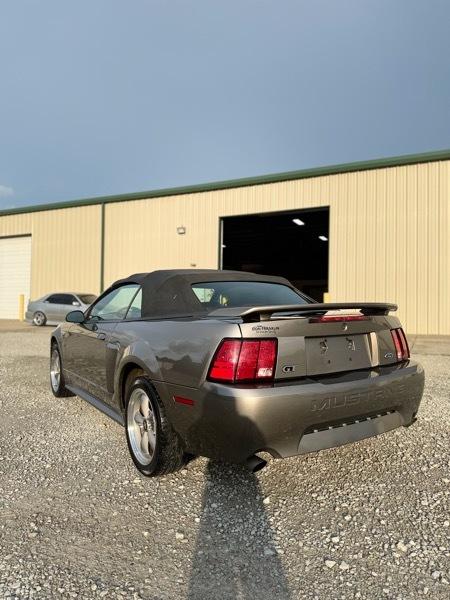 Ford Mustang GT Deluxe Convertible 2002