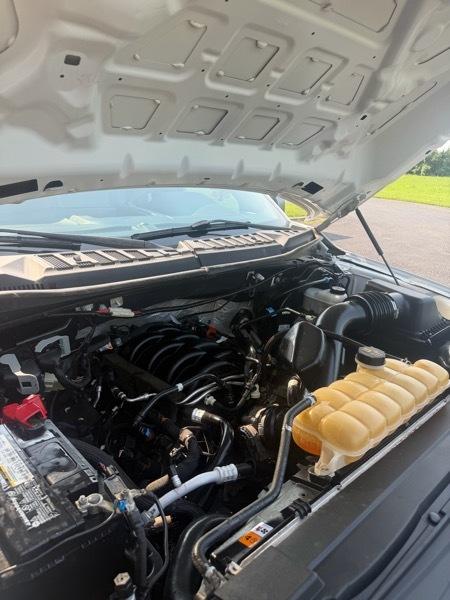 Ford F-150 4WD SuperCrew 139" XL 2019