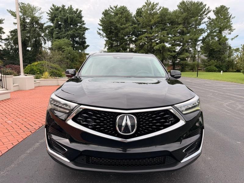 Acura RDX SH-AWD w/Technology Package 2019