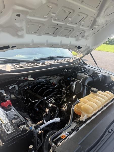 Ford F-150 XL SuperCrew 5.5-ft. Bed 4WD 2019