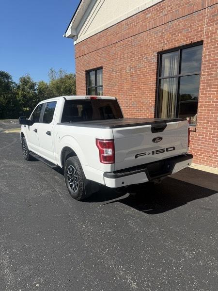 Ford F-150 4WD SuperCab 133" STX 2019