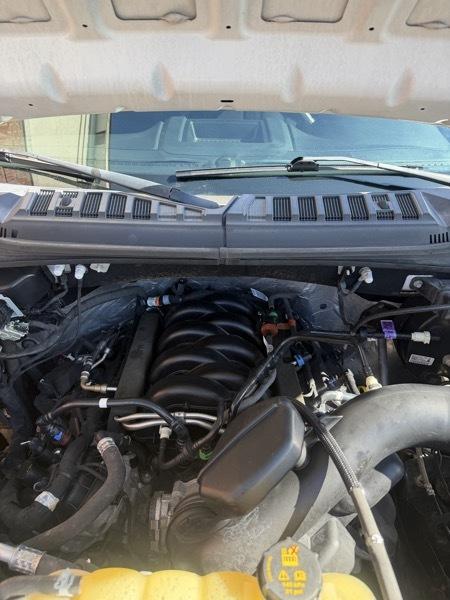 Ford F-150 4WD SuperCab 133" STX 2019