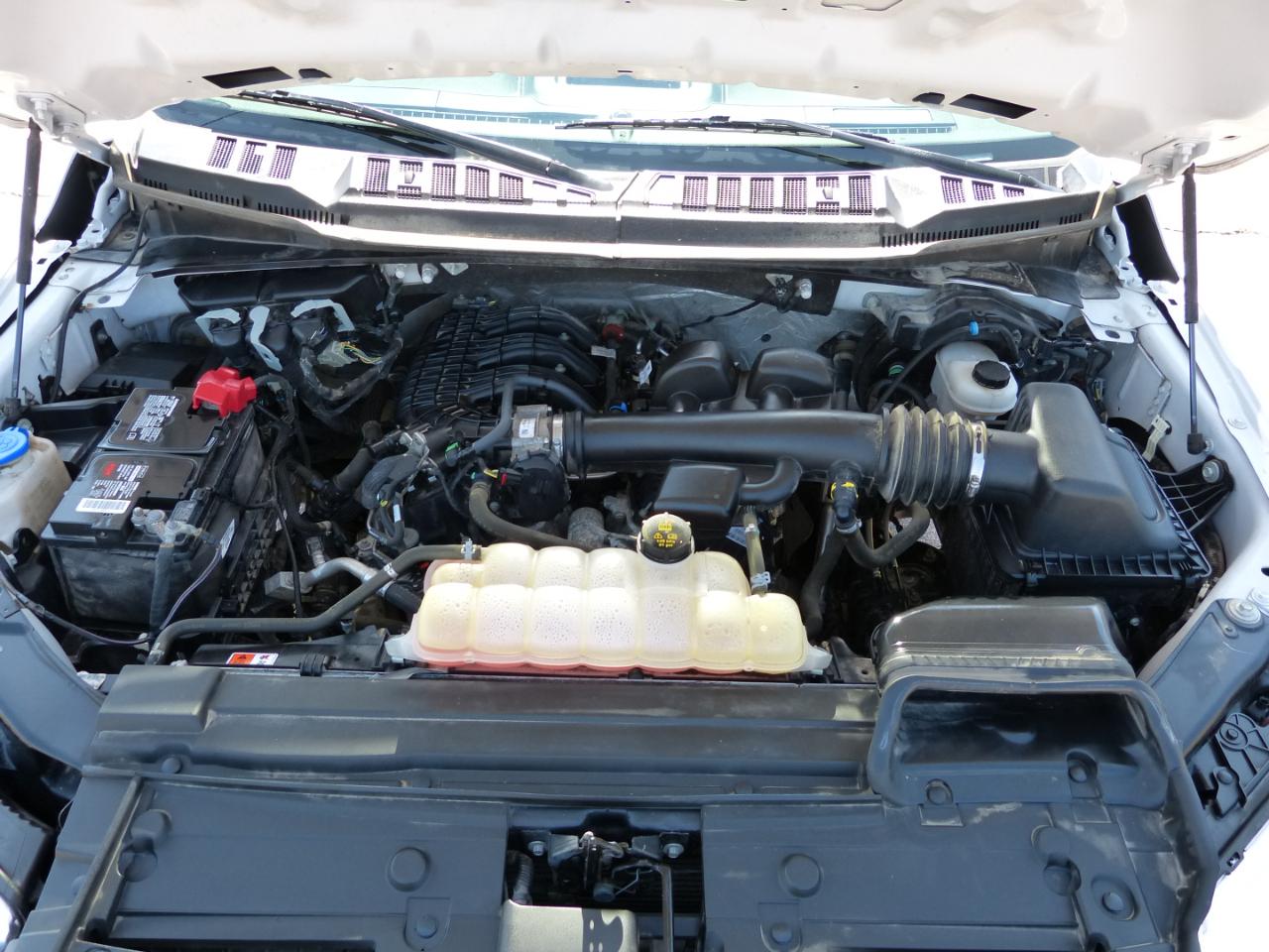 Ford F-150 XLT SuperCrew 6.5-ft. Bed 2WD 2019