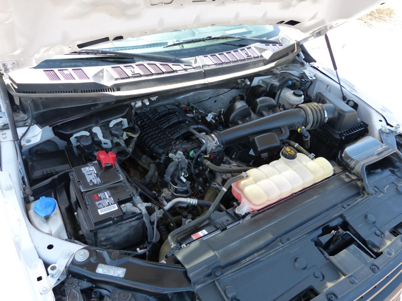 Ford F-150 XLT SuperCrew 6.5-ft. Bed 2WD 2019