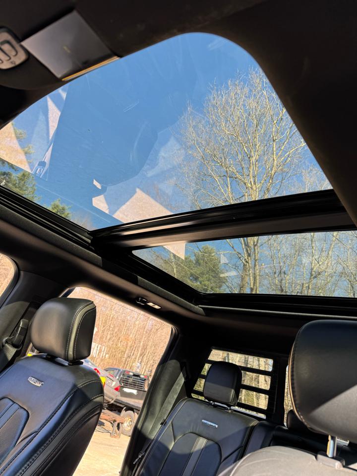 Ford F-450 SD Platinum Crew Cab DRW 4WD 2020