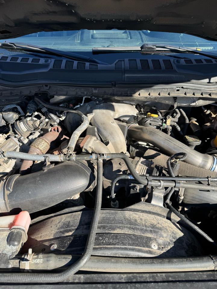 Ford F-450 SD Platinum Crew Cab DRW 4WD 2020