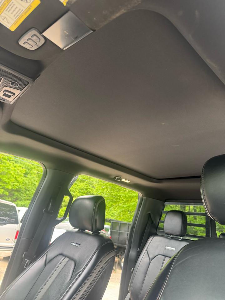 Ford F-450 SD Platinum Crew Cab DRW 4WD 2020