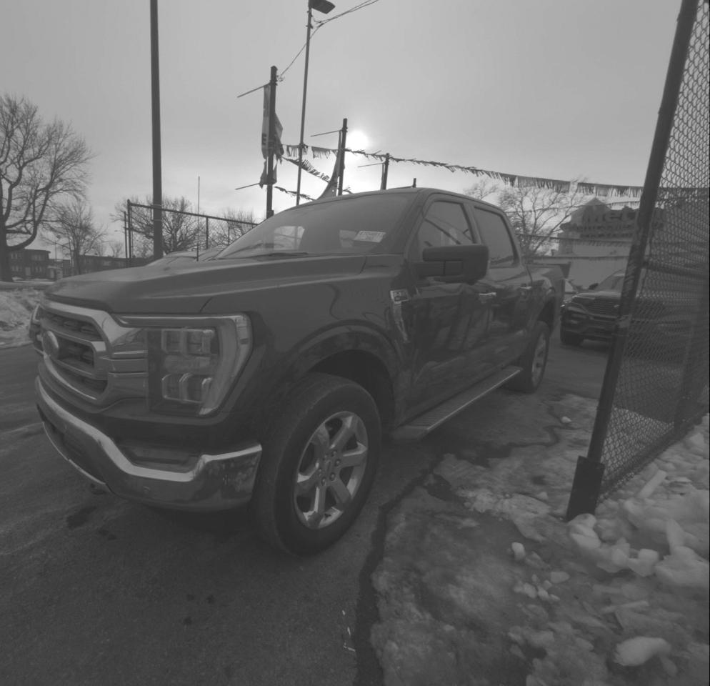 Ford F-150 XL SuperCrew 6.5-ft. Bed 4WD 2022