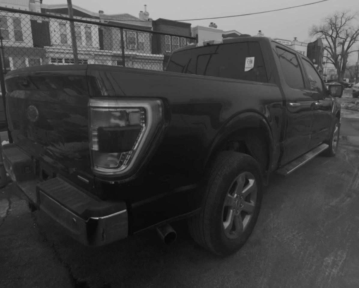 Ford F-150 XL SuperCrew 6.5-ft. Bed 4WD 2022