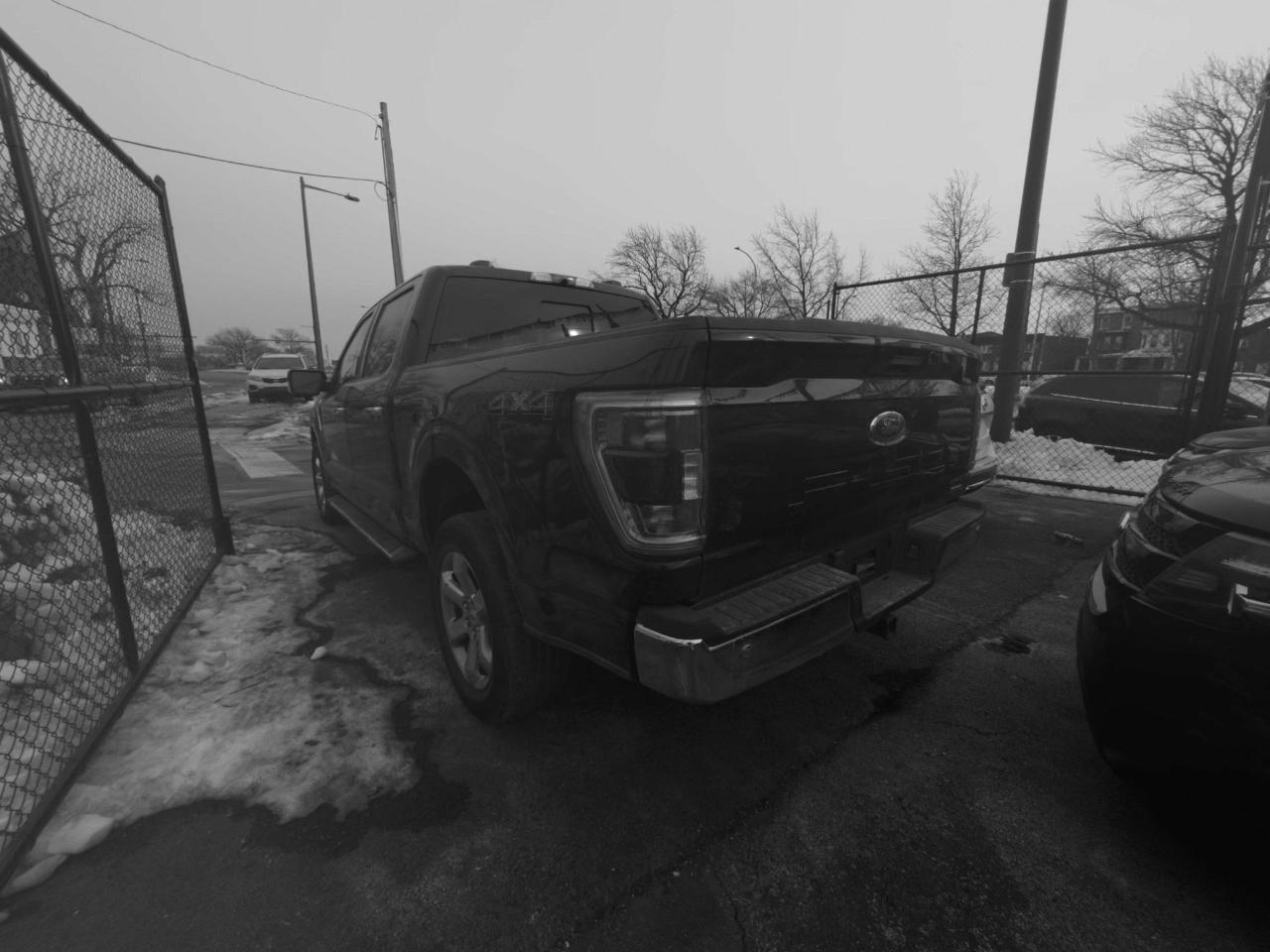 Ford F-150 XL SuperCrew 6.5-ft. Bed 4WD 2022