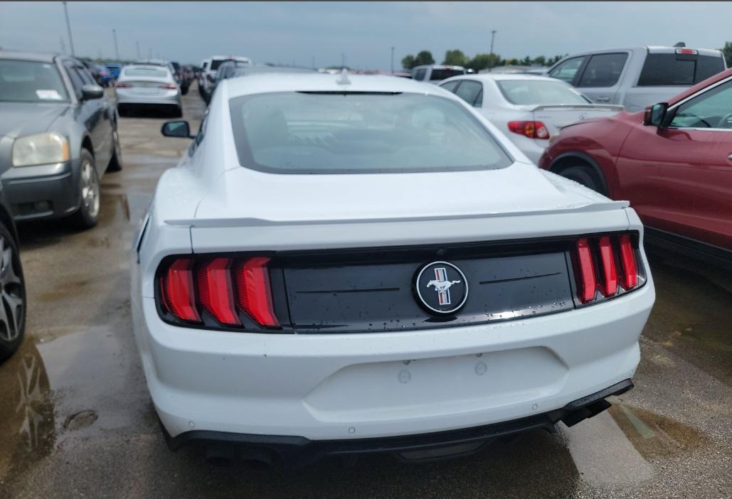 Ford Mustang 2dr Fastback EcoBoost 2021