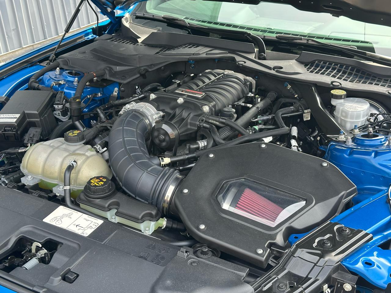 Ford Mustang  2021