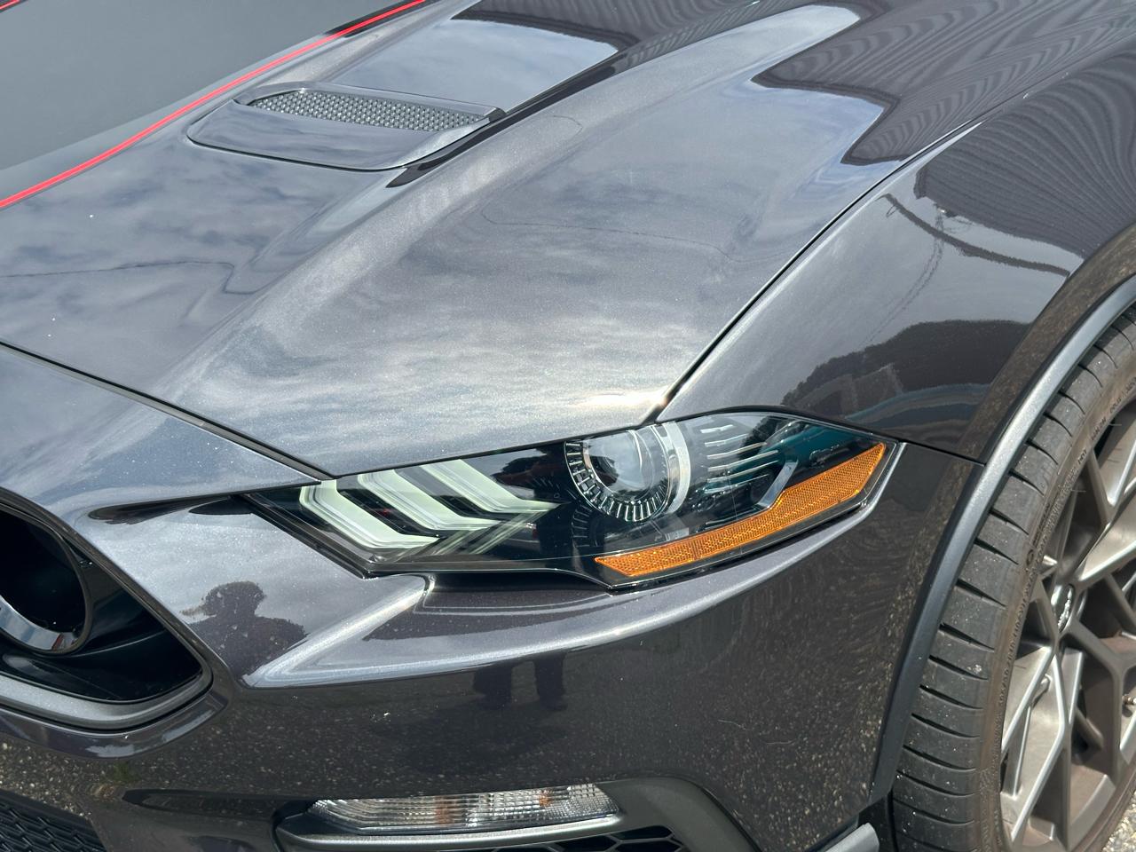 Ford Mustang Mach 1 Fastback 2022