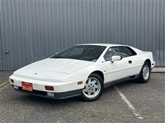 1989 Lotus Esprit 