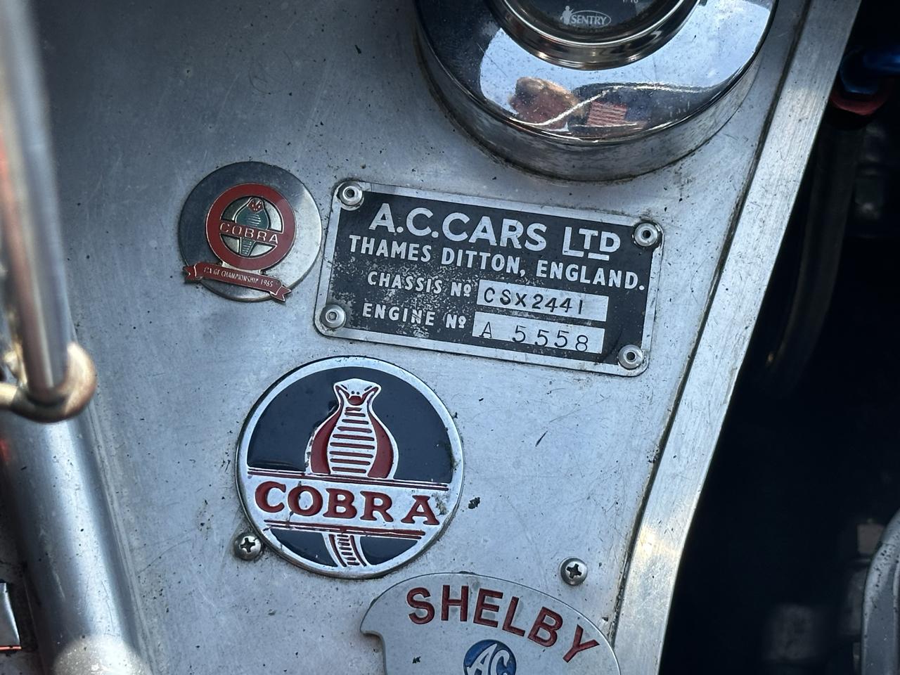 Shelby Cobra  1965
