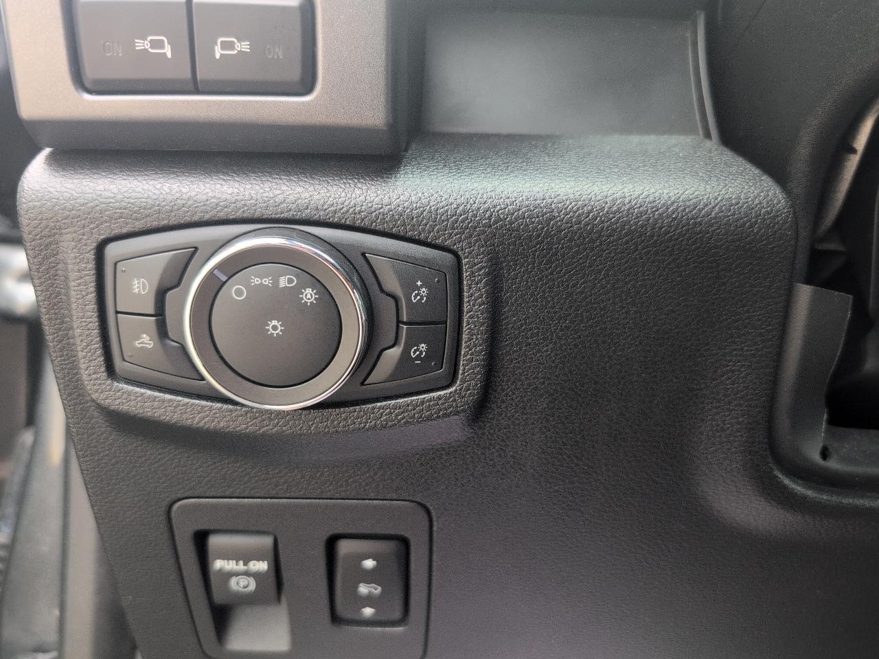 Ford F-150 XLT SuperCrew 6.5-ft. Bed 4WD 2020