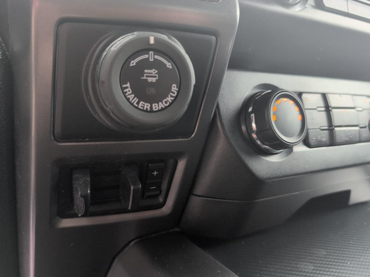 Ford F-150 XLT SuperCrew 6.5-ft. Bed 4WD 2020