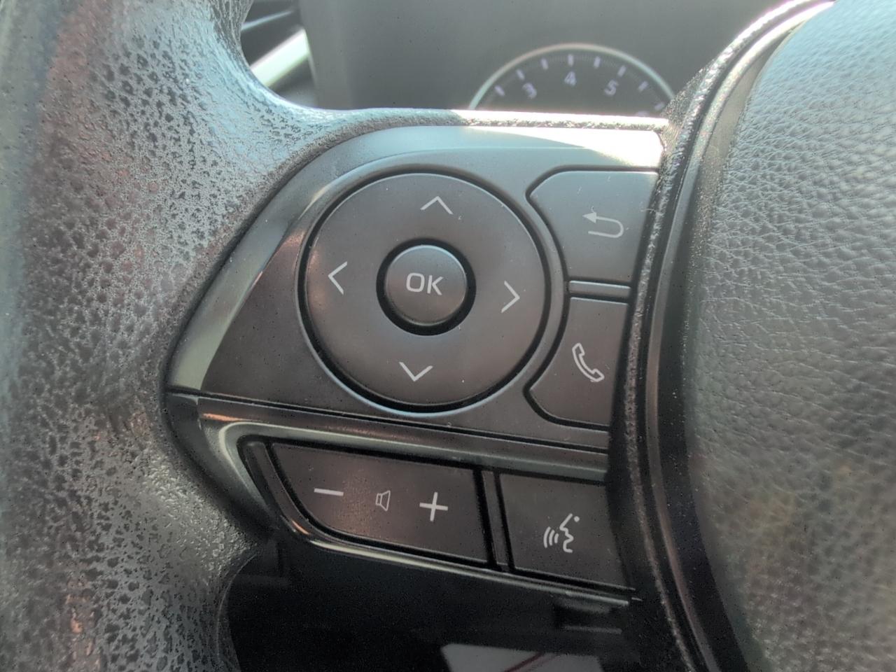 Toyota RAV4 LE 2019