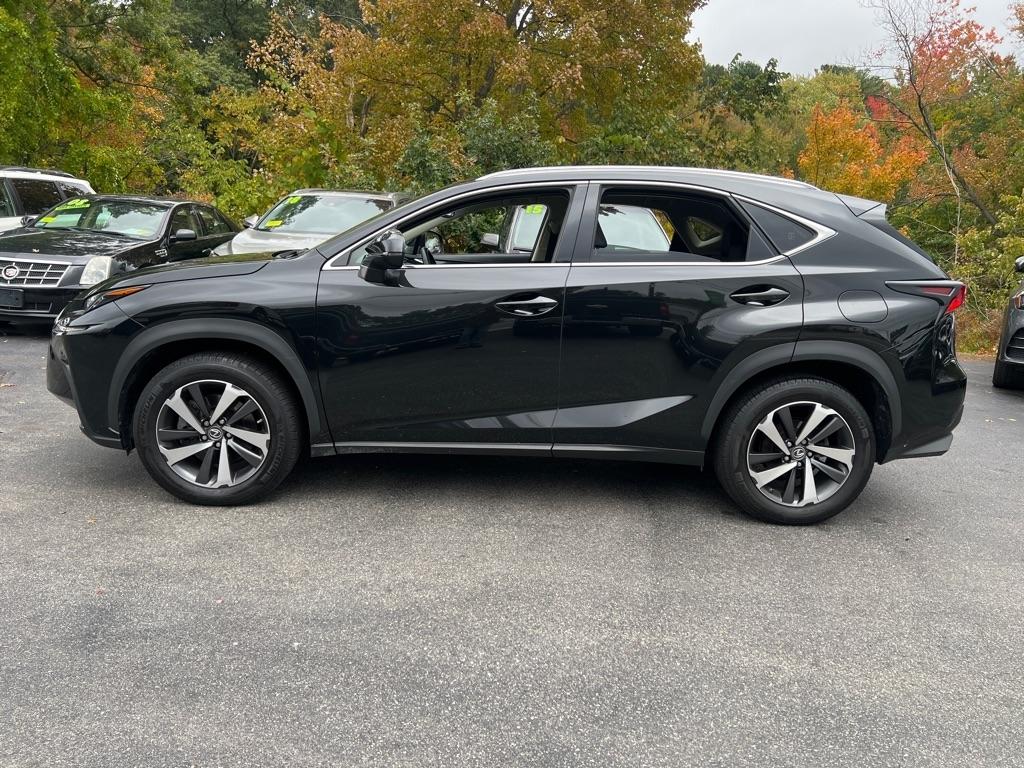 Lexus NX  2019