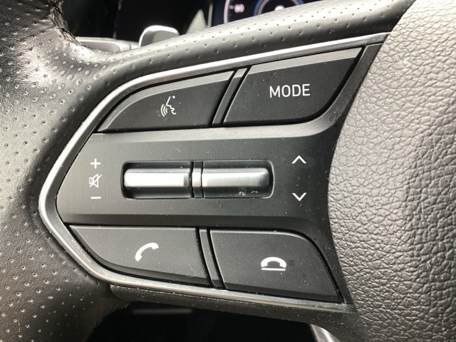 Hyundai Palisade  2022