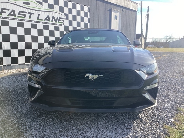 2021 Ford Mustang EcoBoost Premium Convertible photo 4