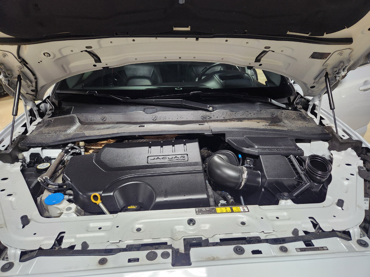 Jaguar E-Pace P250 AWD S 2018