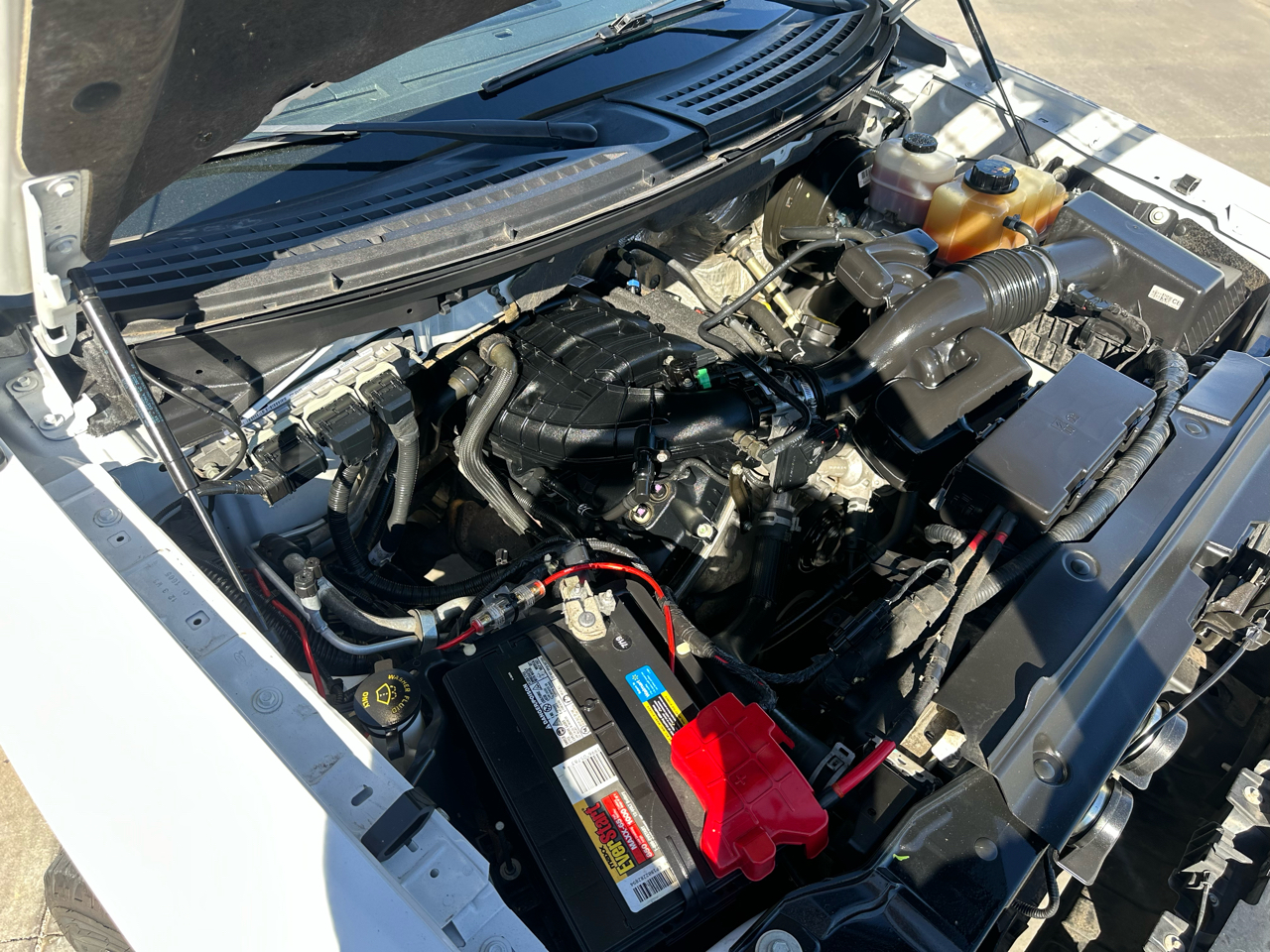 Ford F-150 2WD Reg Cab 126" XL 2013 Ford F-150 2WD Reg Cab 126" XL 2013