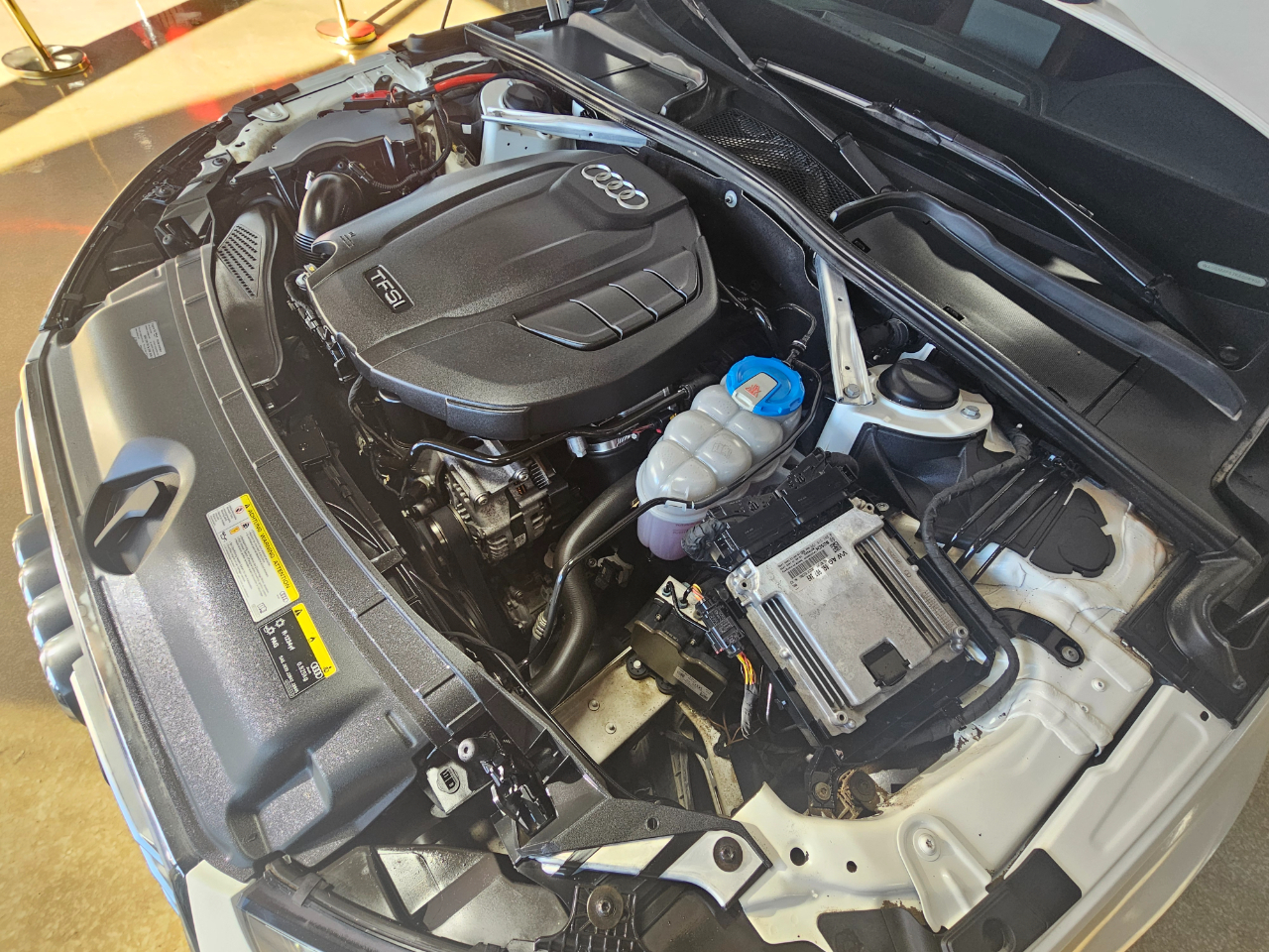 Audi A4 Titanium Premium 40 TFSI 2019