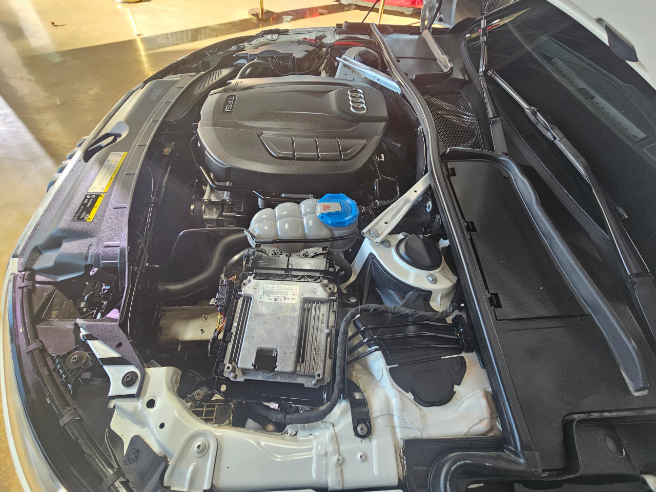 Audi A4 Titanium Premium 40 TFSI 2019