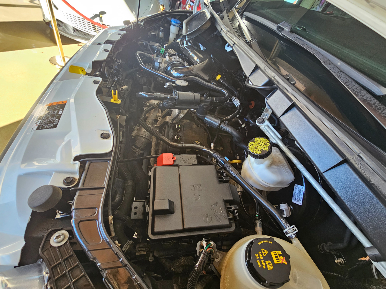 Ford Transit Passenger Wagon T-350 148" Low Roof XL RWD 2021