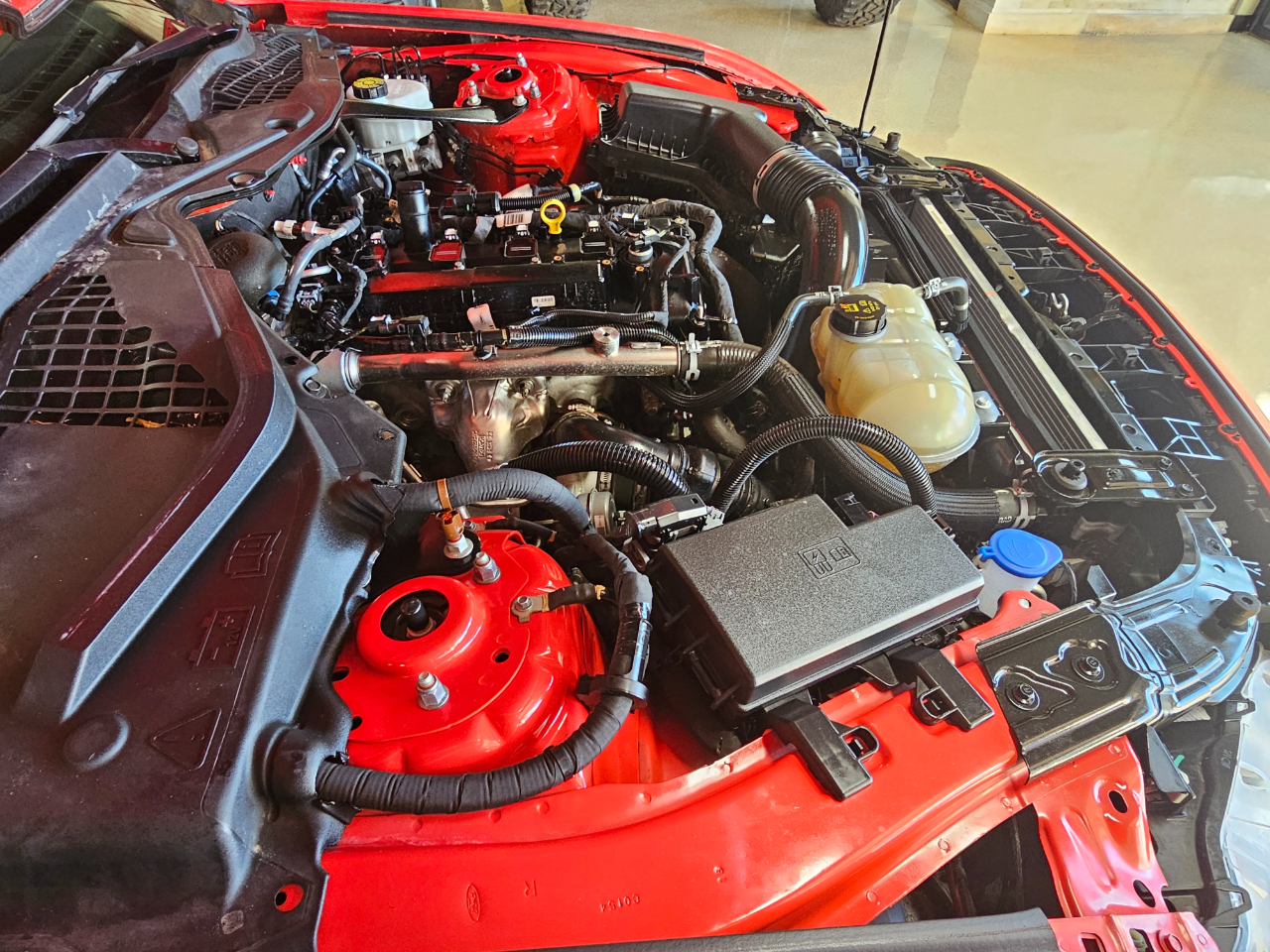 Ford Mustang EcoBoost Convertible 2023