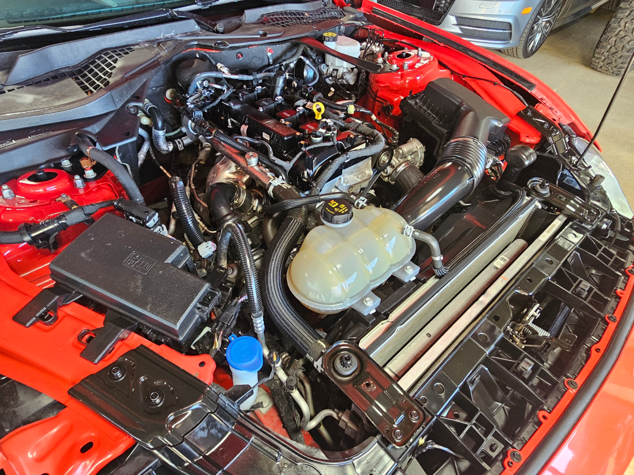 Ford Mustang EcoBoost Convertible 2023