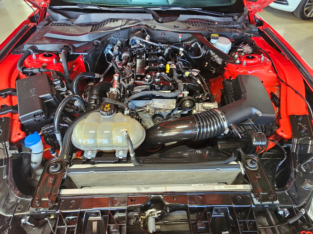 Ford Mustang EcoBoost Convertible 2023